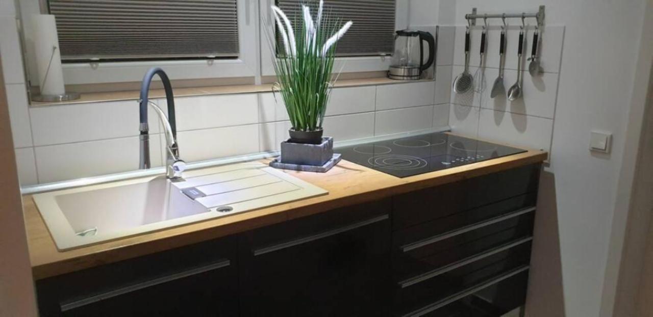 Schicke Ferienwohnung Mit Harzblick Fuer 1-2 Oder 1-4 Personen Goslar Ngoại thất bức ảnh